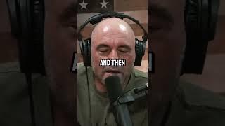 Why Joe Rogan Stopped Fighting