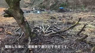 【vol. 18 農地再生】伐採枝をゴミにするか資源にするか。地味で面倒な作業だけど、資源として利用します‼︎