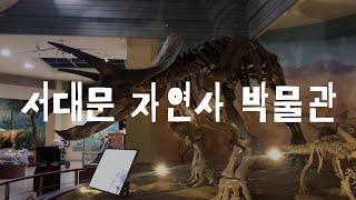 서대문자연사박물관 | 서울 아이와 가볼만한 곳 | 전국공룡정복하기