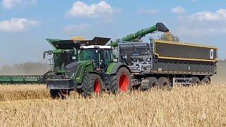 Gersteernte auf Gut Hohen Luckow.John deere X9 1100,Claas Lexion 8800,Fendt826-Agroliner/Siga duo