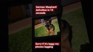 German Shepherd defined in 15 seconds