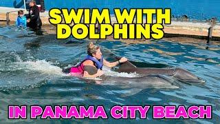 Panama City Beach, Swimming With Dolphins At Gulf World!