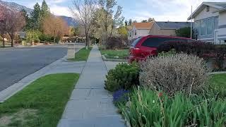 Tracy Drive in 2021, my street from 1983 to 1987.