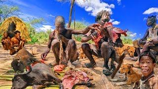 inside Hadzabe Tribe: Life of the Hunters,unseen Action from African Hadza