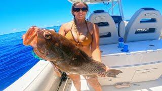 2 Hours of the World's BEST Red Grouper Fishing!! *Catch, Clean & Cooks*