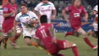 Cheetahs v Reds highlights