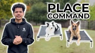 How to Teach Your Dog the PLACE Command (Step-By-Step)