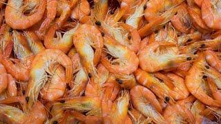 Sydney Fish Market sees seafood lovers continuing an Easter tradition