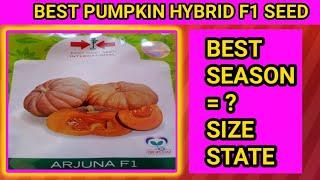 Pumpkin Hybrid seed|Arjuna F1 seed|East -West Seed | Top pumpkin seed