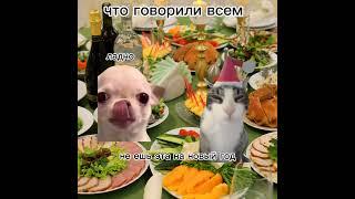 Идея моя(вроде)часть 1 #подпишись  #youtubeshorts #cat  #top5 #top10 #top10 #рекомендации#реки #рек