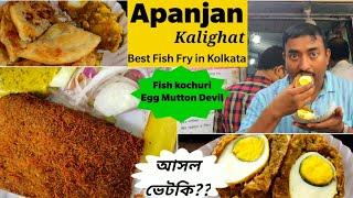 কালীঘাটের Apanjan এর Fish Fry, Fish Kochuri, গত 40 বছর ধরে মানুষের মনে জয় করে চলেছে | Apanjan |