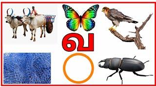 "வ"யில் தொடங்கும் வார்த்தைகள்/"வ"சொற்கள்/va words in Tamil/ உயிர் மெய் எழுத்துக்கள் வ வரிசை/prinit