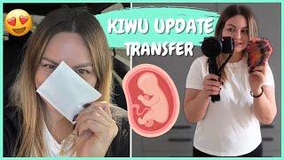 Kiwu Update: Der 1te Kryotransfer