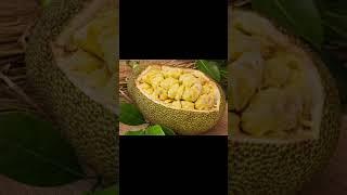 Fruits  - Tamil to Telugu translations PART -2