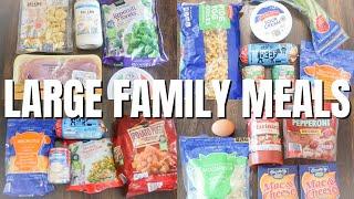 $10 LARGE FAMILY MEALS ON A BUDGET | FEED YOUR FAMILY FOR ONLY $10