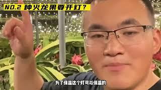 北方买的荔枝为什么都带叶子？采摘工：经销商骗你们北方人啦！