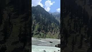 Beautiful Cold Water River in Pakistan #nature #incrediblepakistan #travel #pakistantourism #explore