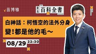 解析柯文哲3A大作：假帳案、木可案、商辦案【 阿苗的臺北百科全書】