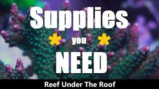 Affordable Coral Fragging Supplies/ Tips & Tricks! (Fragging on a Budget!)