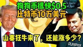 狗狗币将很快站上$0.5，比特币站上10万美元，山寨币狂飙，还能涨多少？