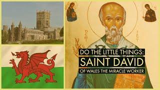 Do the Little Things: Saint David of Wales the Miracle Worker