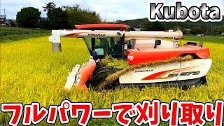 Kubota combine harvester ER572 クボタの5条72馬力コンバインで刈り取りSTAR