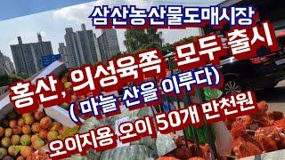홍산마늘, 의성토종마늘까지  마당에 산을 이루다, 오이지용 오이 50개 11,000원 등 과일가격도  저렴