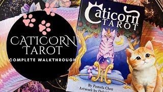 Caticorn Tarot - Walk Through and First Impressions