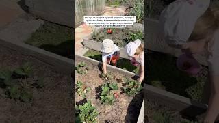 Я плачу моим детям очень повезло с бабушками и дедушками🫶#декрет #мама #погодки #материнство