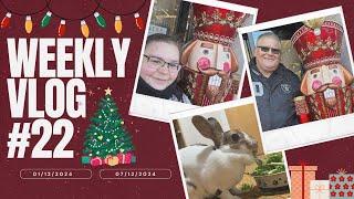 Weekly Vlog #22 - It’s beginning to look a lot like Christmas!!