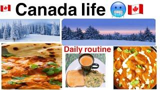 Pakistani Vlogs In Canada  My Daily Routine Vlog Winter Time