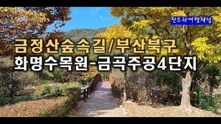 금정산숲속길//화명수목원/금곡주공4단지아파트