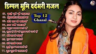 #Dimpal_Bhumi_Hit_Songs | Best Of Dimpal bhumi | Top 12 Song |Bollywood Romantic Songs Live Show2024