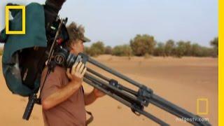 Hit By a Dust Storm | National Geographic