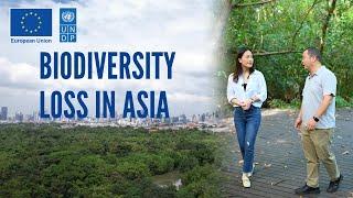 COP15|Biodiversity Loss in Asia: Business and Human Rights