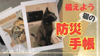 【猫の防災】もしものために猫用の防災手帳を作ろう〜！家にあるもので簡単にできるよ【保護猫と暮らす】