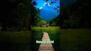 Natural world #nature #goodvibes