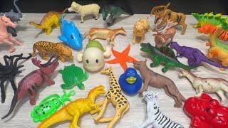  ASMR_Fast Aggressive * Model Animals Toy Collection I Reviewed in Hands * No Talking *