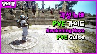 BDO) 각성 노바 PVE 가이드 / Awakening Nova PVE Guide