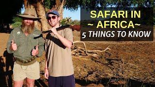 5 Things to Know Before Booking a SAFARI in AFRICA