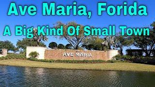 "A Big Kind Of Small Town". Discover Ave Maria. Places To Go See Florida. Things To Do See [4K]