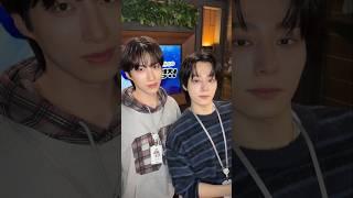 이사배님과 모에모에모에뀽