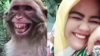 Troll Prank Dog Funny 2023 New Video