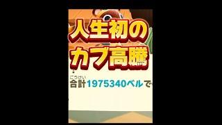 こんなカブ価見たことない!!　#あつ森　#カブ価