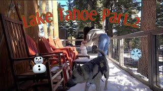 Lake Tahoe #2 | Winter Wonderland, 펑펑 눈이 내린 타호 두번째 브이로그