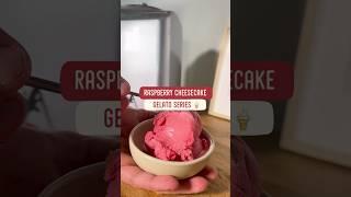 Raspberry Cheesecake | Magimix Gelato Expert and Food Processor Juice Extractor