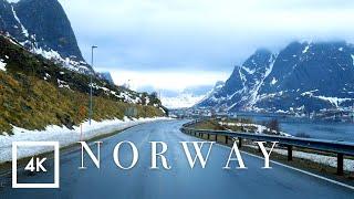 Scenic Snowy Drive in Reine, Lofoten Islands, Norway | Driving Sounds for Sleep and Study ASMR