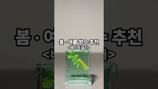 봄•여름 향수 추천(화창한 날 울창한 숲 속 향)