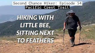 Episode 54: Hiking with Little Bee, Sitting Next to Feathers | PCT