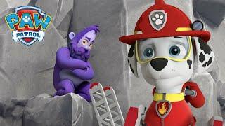 Marshall ratuje Humskłacza z niebezpiecznego klifu! - Psi Patrol PAW Patrol po polsku